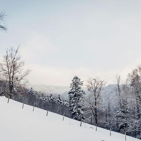 Waldjuwel Mostviertel Allhartsberg Экстерьер фото