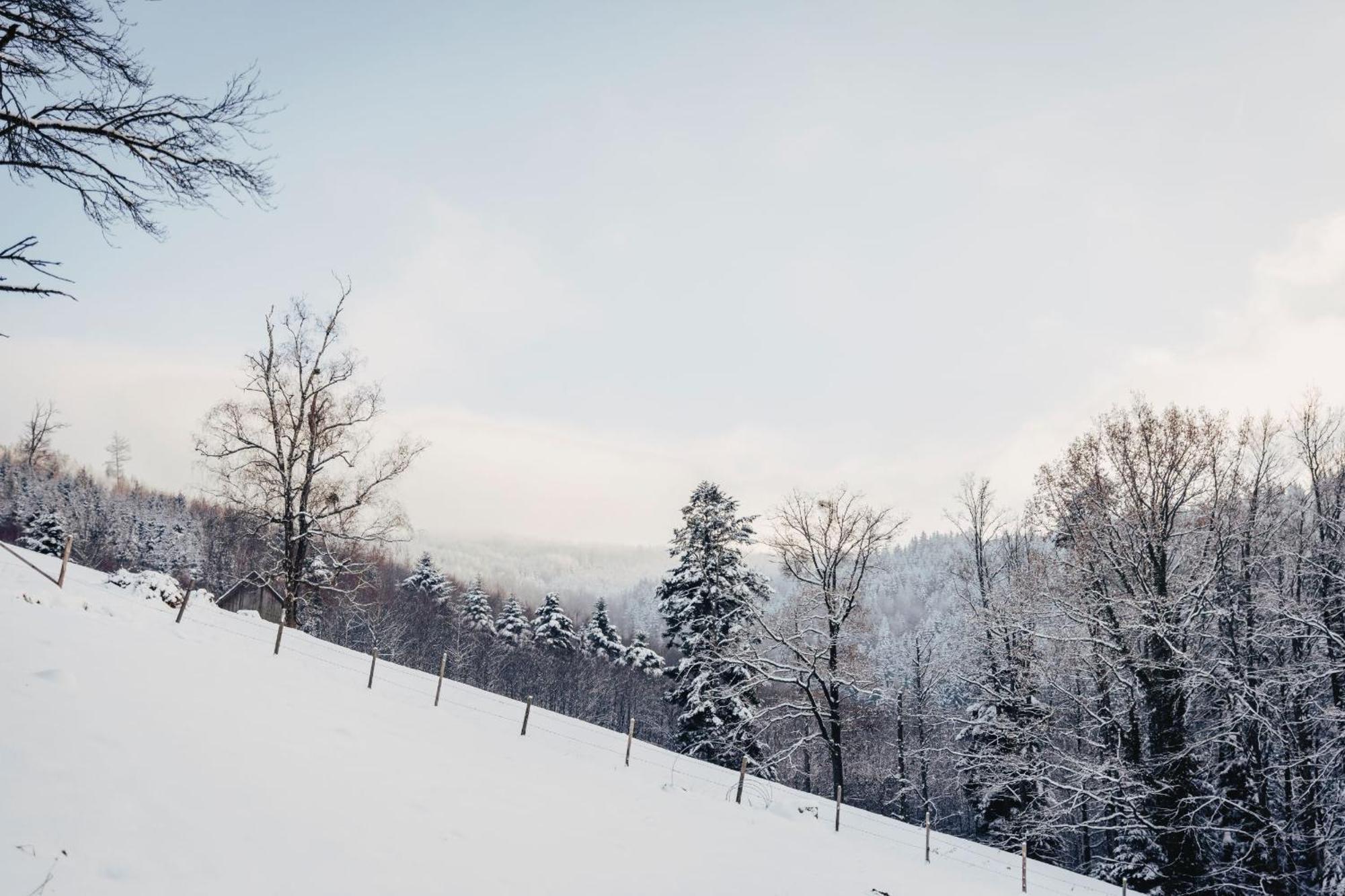 Waldjuwel Mostviertel Allhartsberg Экстерьер фото